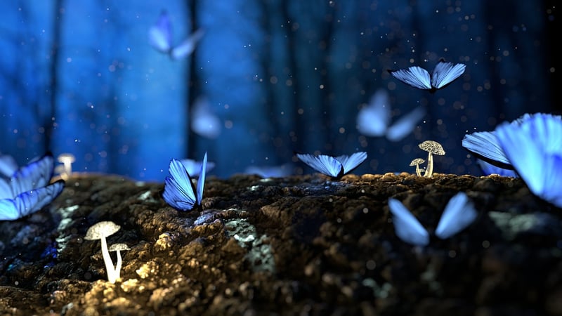 Enchanted Garden Themes
